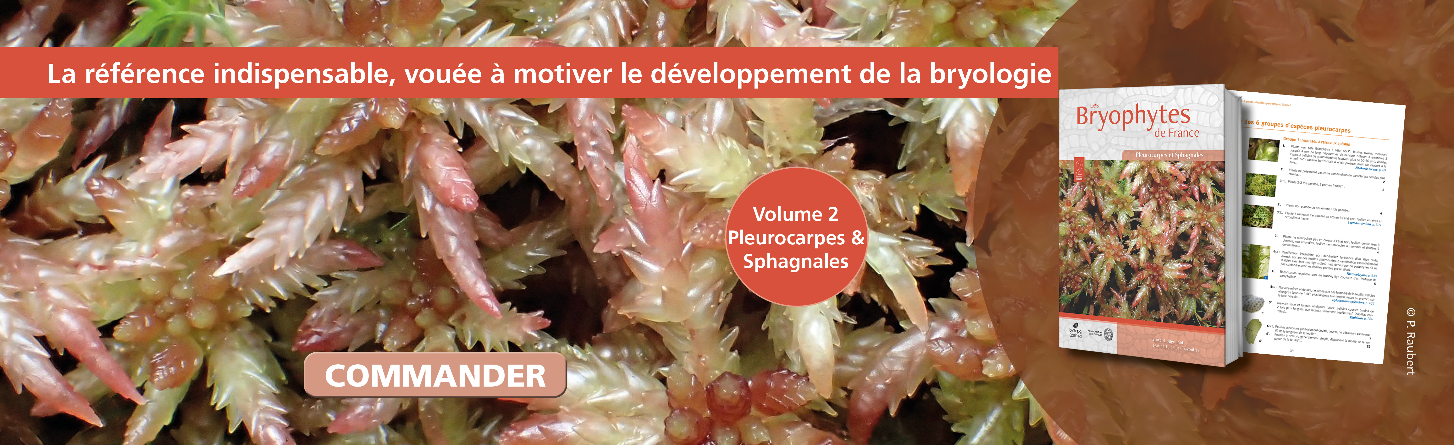 Les Bryophytes de France Tome 2 - Pleurocarpes et Sphagnales 